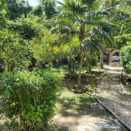 Mini Pini Bird Watching And Cenote Loft Villa Cozumel Exterior photo