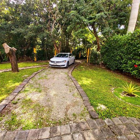 Mini Pini Bird Watching And Cenote Loft Villa Cozumel Exterior photo