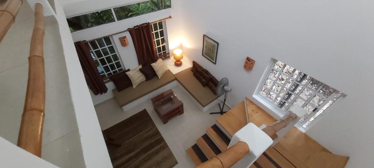 Mini Pini Bird Watching And Cenote Loft Villa Cozumel Exterior photo