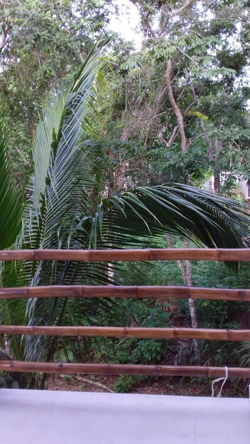 Mini Pini Bird Watching And Cenote Loft Villa Cozumel Exterior photo