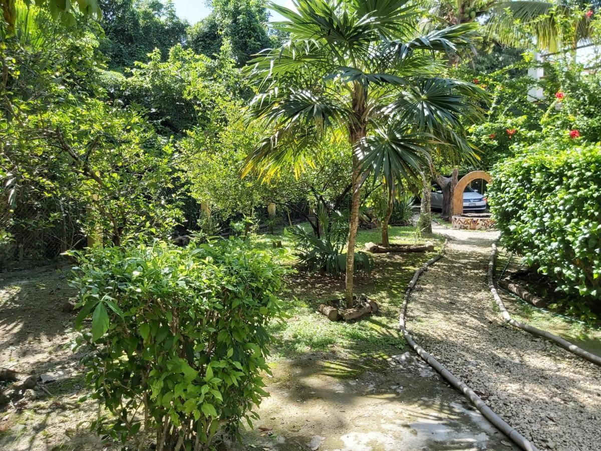 Mini Pini Bird Watching And Cenote Loft Villa Cozumel Exterior photo
